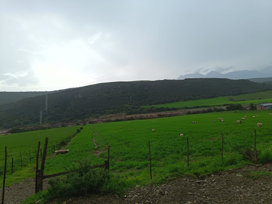 Commercial Property for Sale in George Rural Western Cape